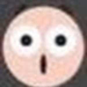 Meet your Posher, Wo